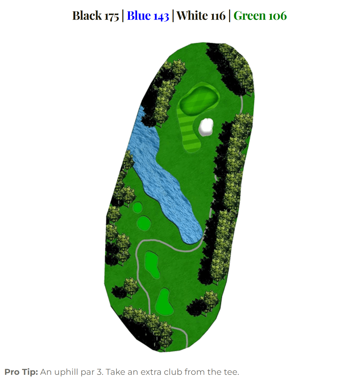 Blackheath hole 8