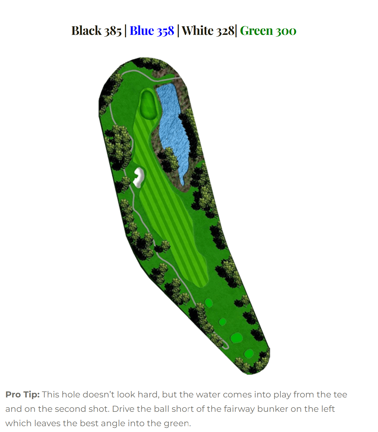 Blue Heron hole 11