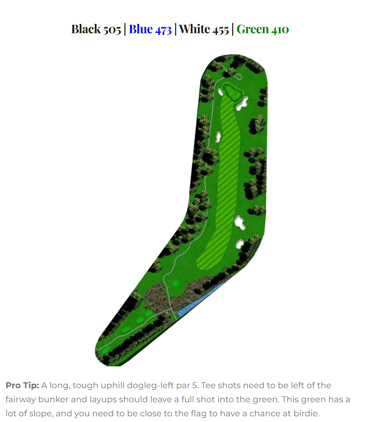 Blue Heron hole 12