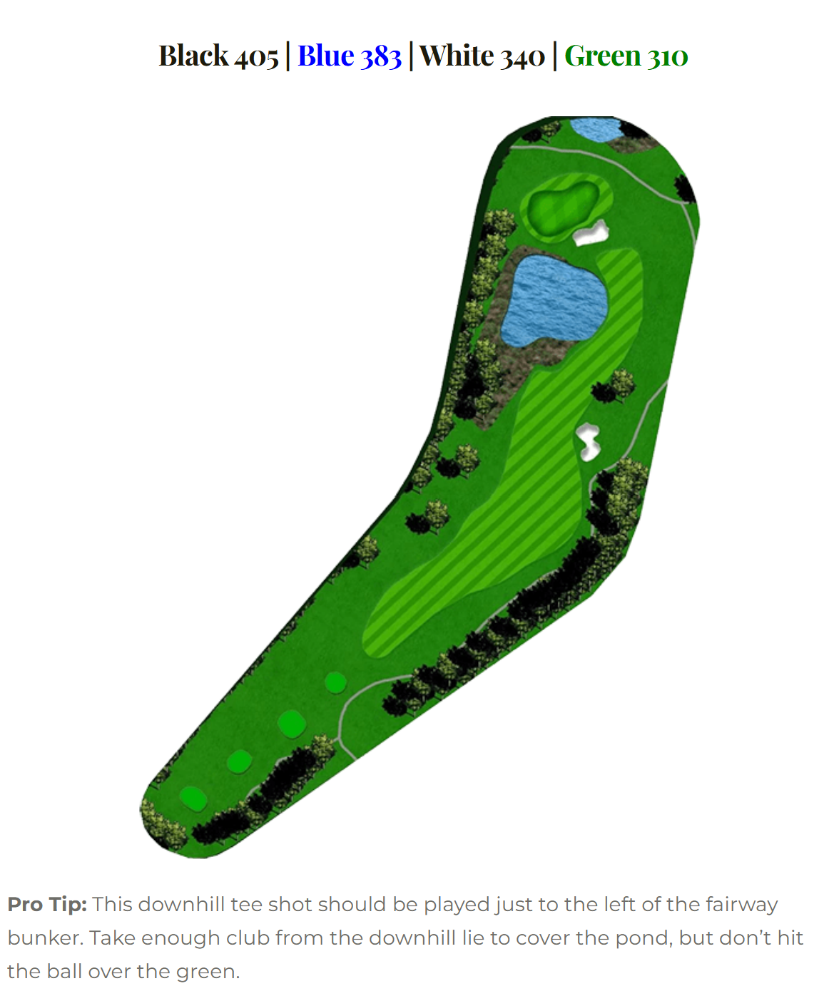 Blue Heron hole 13