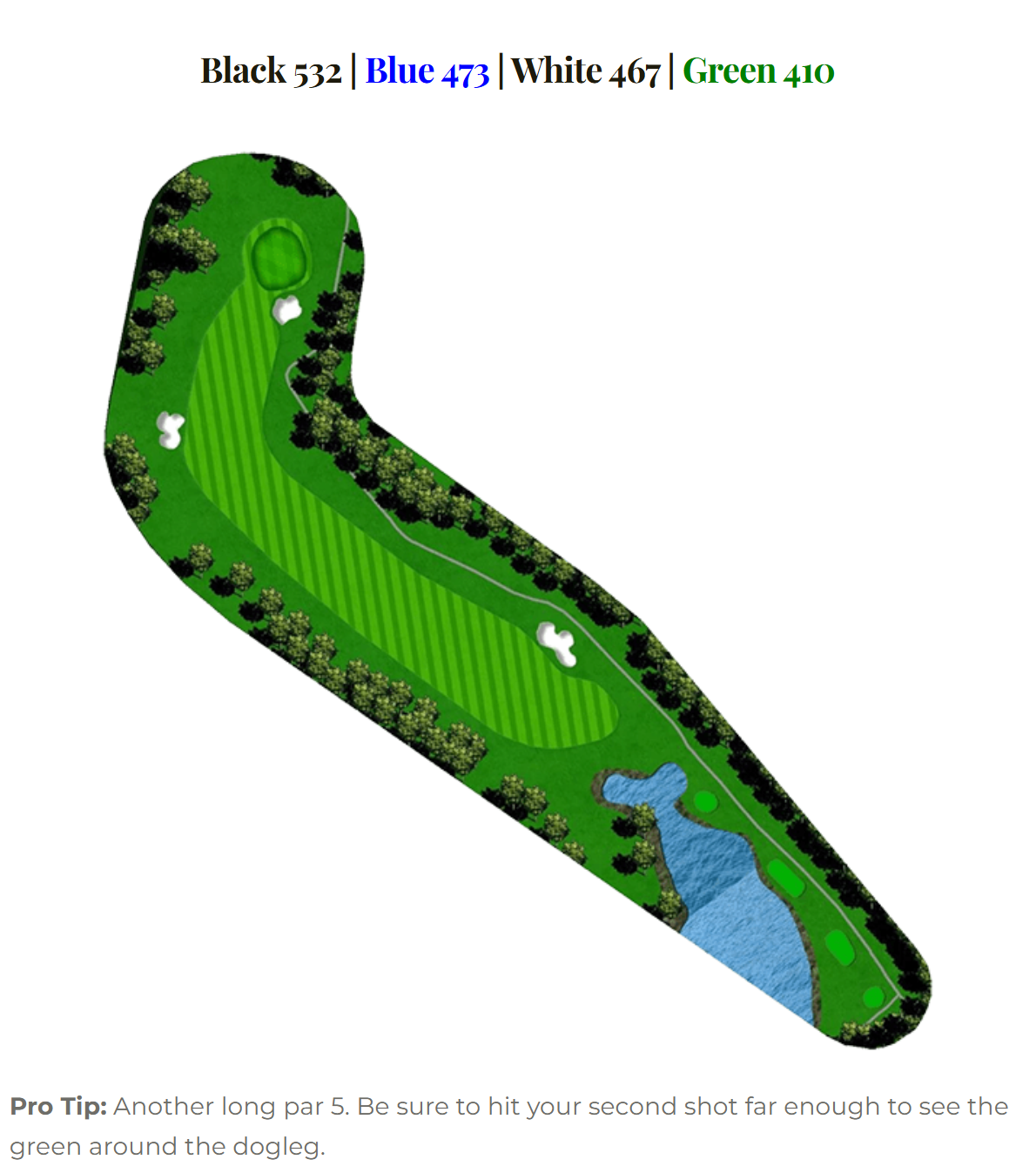 Blue Heron hole 16