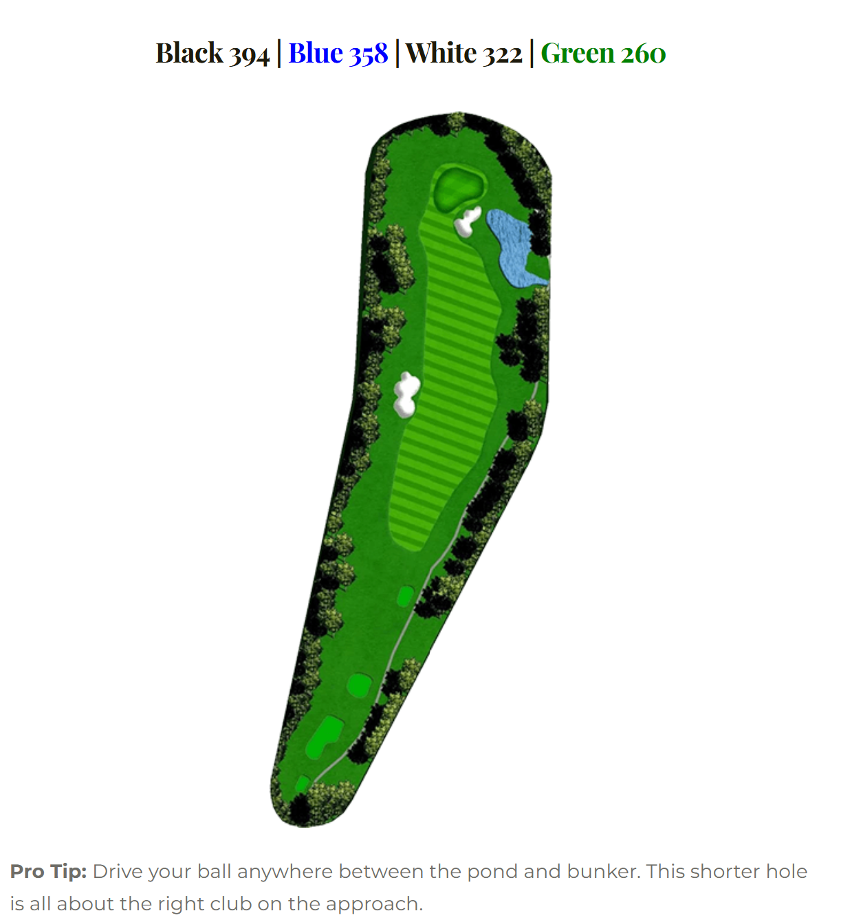 Blue Heron hole 3