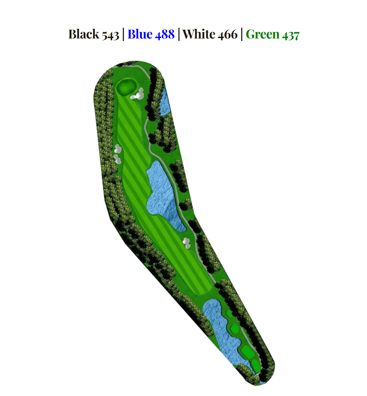 Blue Heron hole 4