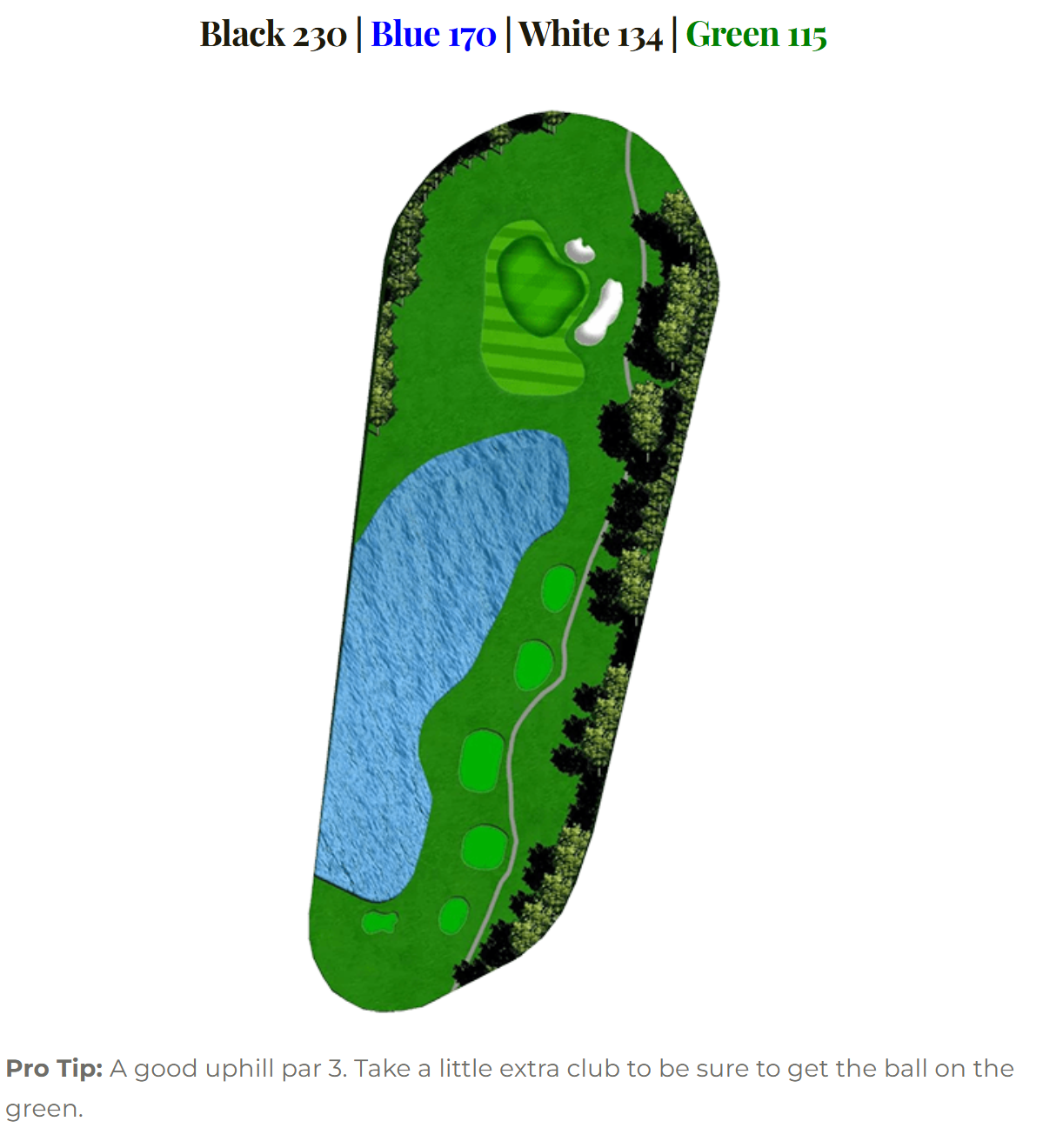Blue Heron hole 6