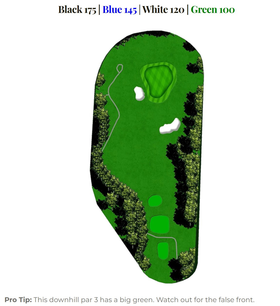Blue Heron hole 8
