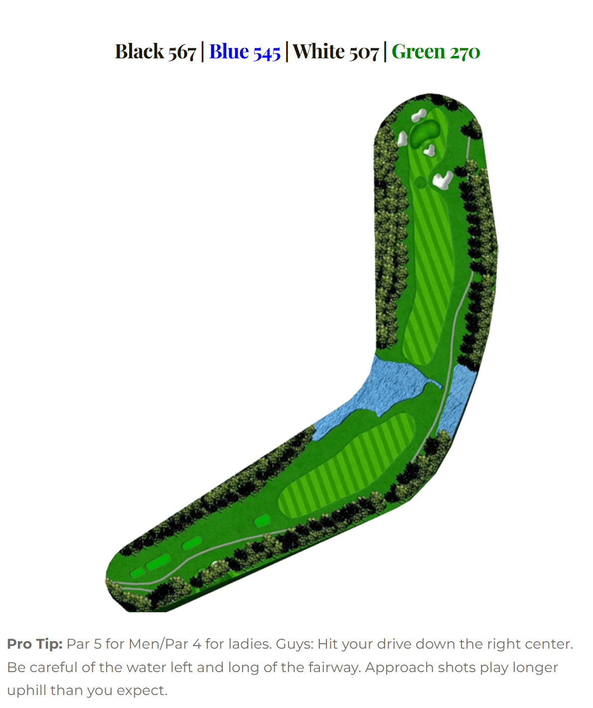 Marsh Hawk hole 11