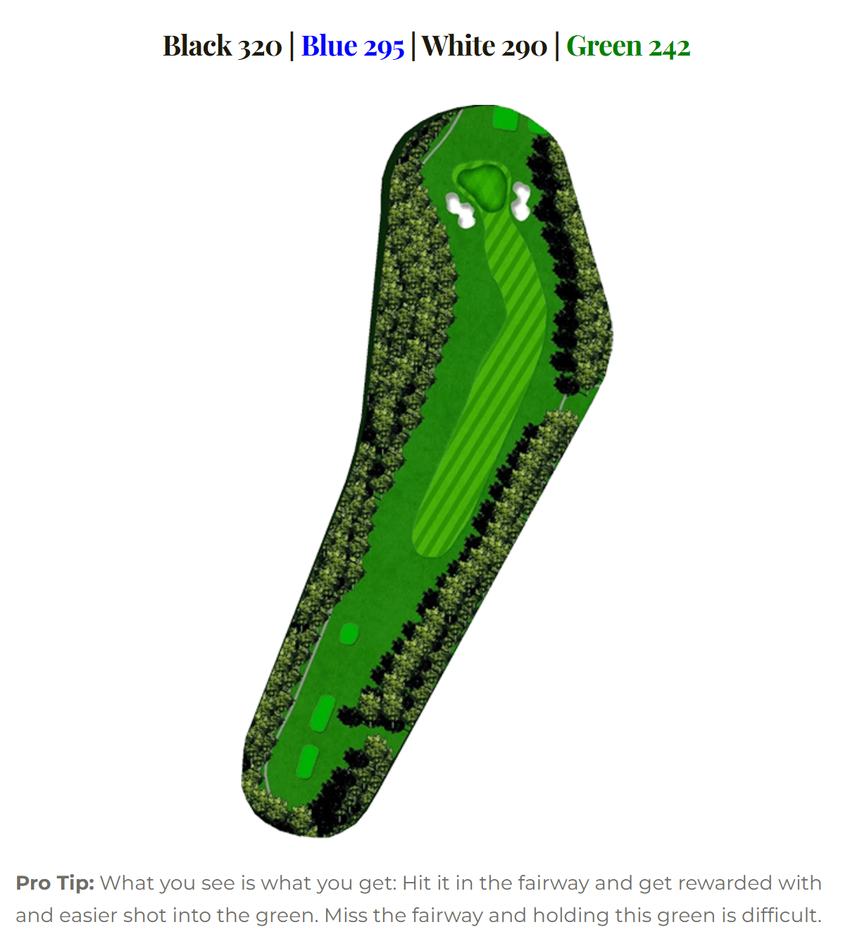 Marsh Hawk hole 14