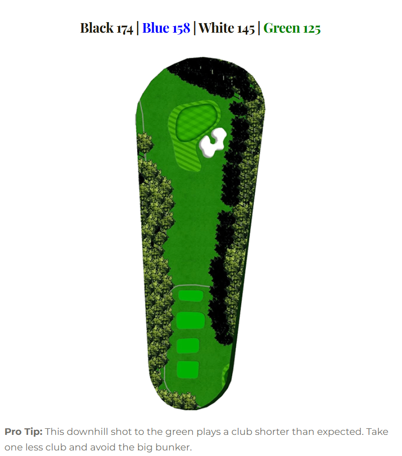 Marsh Hawk hole 15