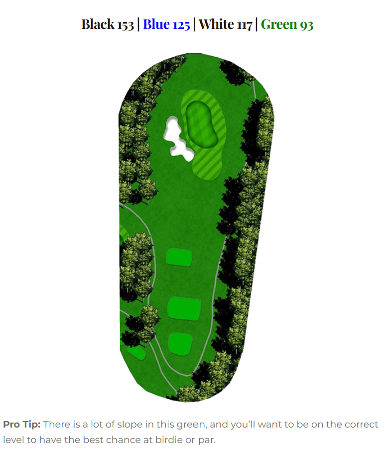 Marsh Hawk hole 17