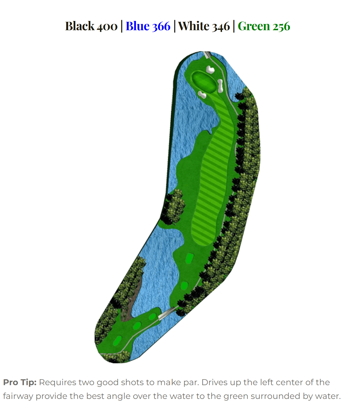 Marsh Hawk hole 4