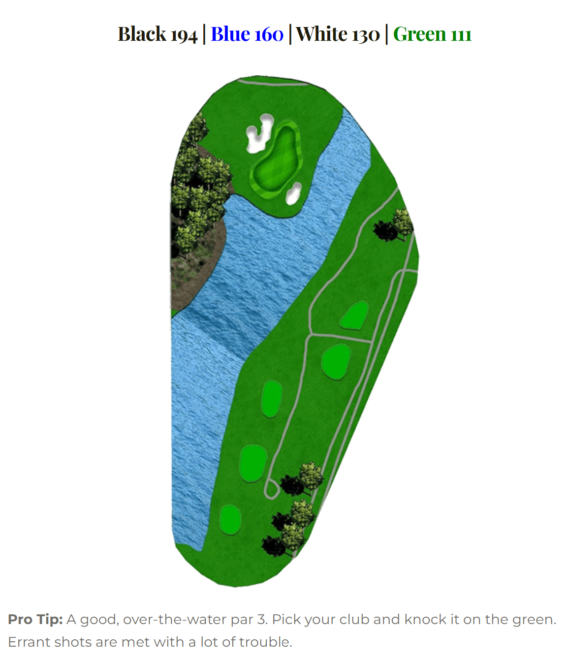 Marsh Hawk hole 8