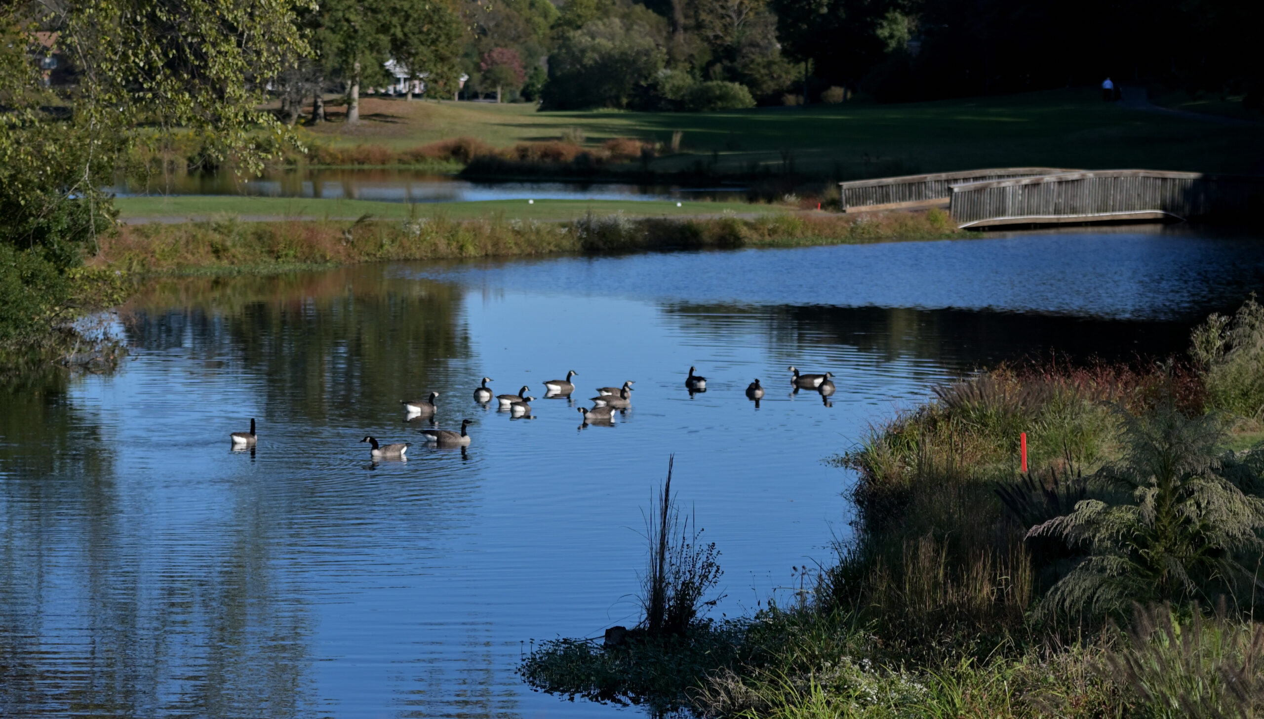 Blue Heron golf course at Ford's Colony